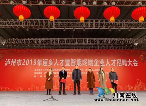 春风送暖！泸州举办2019年返乡人才招聘大会(图1)