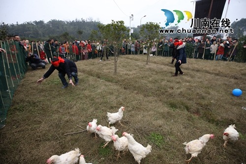 跳起舞来嗨个歌!合江苗族踩山节成“狂欢节”(图17) 跳起舞来嗨个歌!合江苗族踩山节成“狂欢节”(图17)