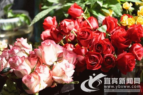 宜宾迎春节后首个登记结婚高峰&nbsp;鲜花销售火爆(图1)