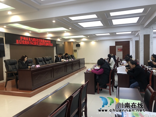 龙马潭区红星街道召开2018年度基层党组织书记落实主体责任述职评议会(图2)