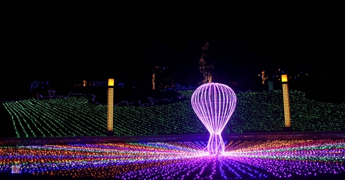 灯会亮出经济效益&nbsp;激发城市吸金力(图6)