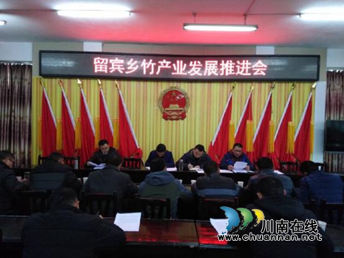 宜宾留宾乡：多措并举&nbsp;加快竹产业发展(图1)