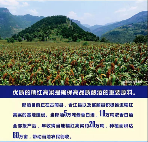 彭清华:郎酒是四川非常宝贵、不可多得的财富(图5) 彭清华:郎酒是四川非常宝贵、不可多得的财富(图5)