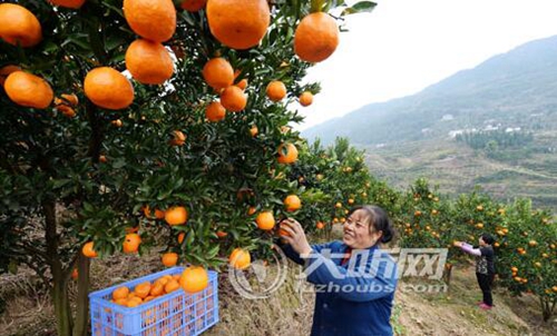 泸州：58775人已脱贫&nbsp;退出贫困村86个(图1)