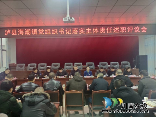 泸县海潮镇召开党组织书记落实主体责任述职评议会(图1)