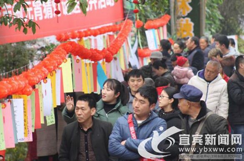 热闹庆元宵&nbsp;宜宾首届迎春花市销售近200万元(图1)