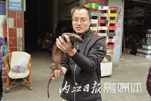 内江市民湖边“巧遇”娃娃鱼&nbsp;联系相关部门放生(图1)