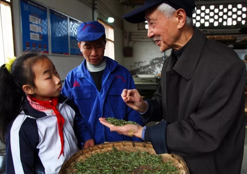 纳溪贡茶进京&nbsp;明天亮相各大媒体！(图5)