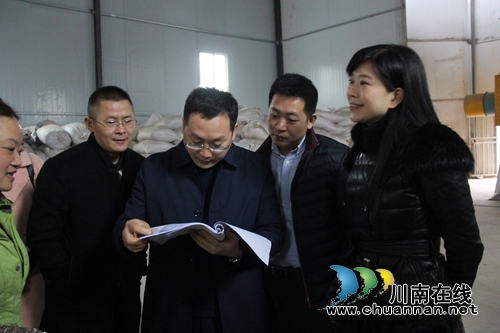 张学彬张福荣到泸县云龙镇检查乡村振兴工作(图1)