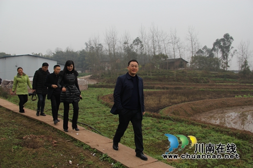 张学彬张福荣到泸县云龙镇检查乡村振兴工作(图2)