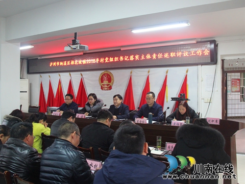 纳溪区棉花坡镇召开2018年村党组织书记落实主体责任述职评议工作会(图1)