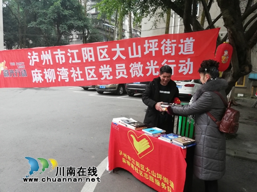 江阳区大山坪街道麻柳湾社区启动学雷锋志愿服务活动(图6)