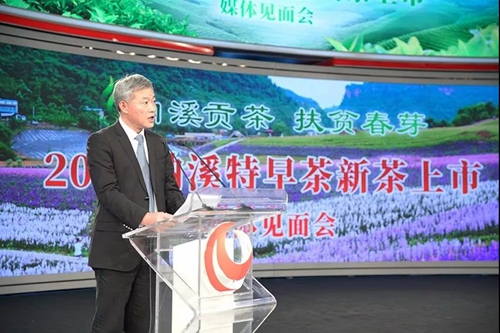 纳溪特早茶走进人民网演播厅&nbsp;引各大媒体聚焦(图2)