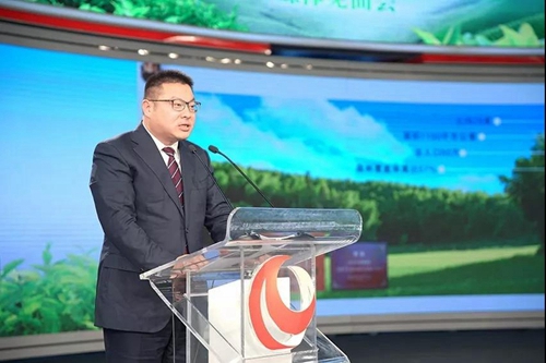 纳溪特早茶走进人民网演播厅&nbsp;引各大媒体聚焦(图4)