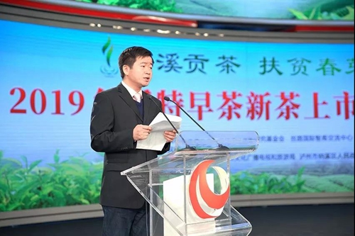 纳溪特早茶走进人民网演播厅&nbsp;引各大媒体聚焦(图5)