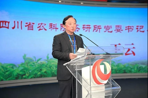 纳溪特早茶走进人民网演播厅&nbsp;引各大媒体聚焦(图6)