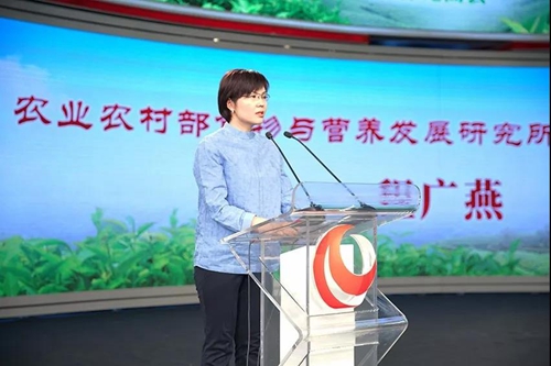 纳溪特早茶走进人民网演播厅&nbsp;引各大媒体聚焦(图8)