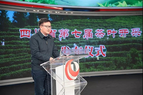 纳溪特早茶走进人民网演播厅&nbsp;引各大媒体聚焦(图9)