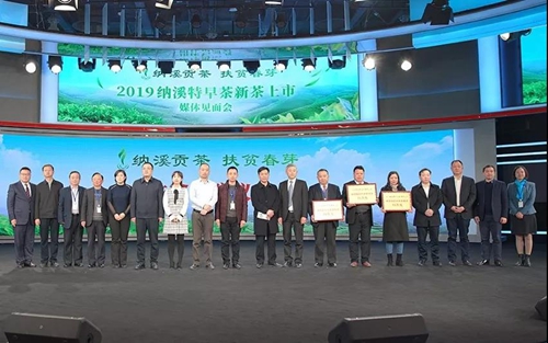 纳溪特早茶走进人民网演播厅&nbsp;引各大媒体聚焦(图11)