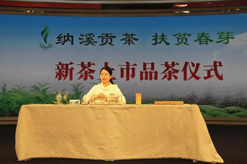 纳溪特早茶走进人民网演播厅&nbsp;引各大媒体聚焦(图14)