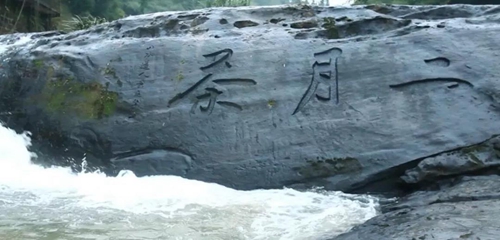 纳溪特早茶走进人民网演播厅&nbsp;引各大媒体聚焦(图17)