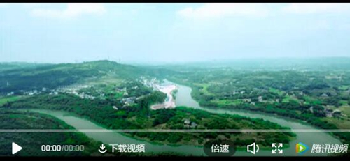 纳溪特早茶走进人民网演播厅&nbsp;引各大媒体聚焦(图19)