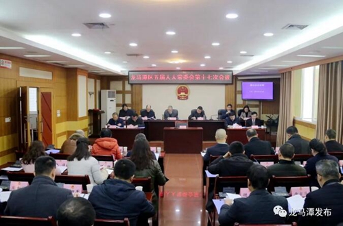 龙马潭区新任命的13名政府部门“一把手”亮相(图1)