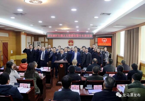 龙马潭区新任命的13名政府部门“一把手”亮相(图2)