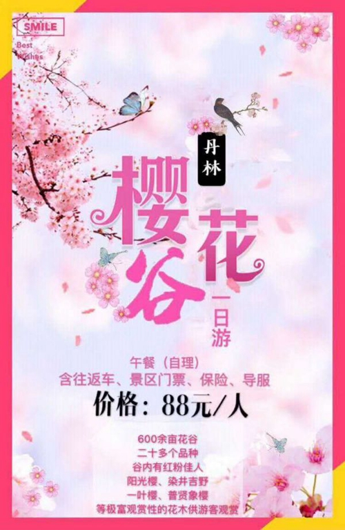 春暖花开&nbsp;宜宾旅行社乡村一日游被火爆预定(图2)