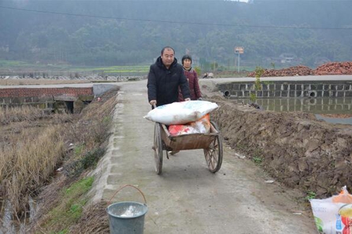 荣县&nbsp;“大地主”张文君这样经营420亩地(图2)