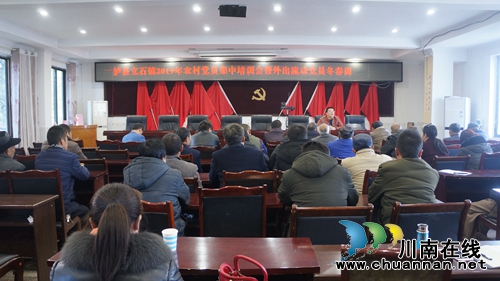 泸县立石镇召开2019年农村党员暨外出流动党员冬春训集中培训会(图1)