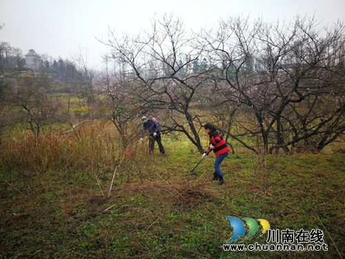 兴仁市城北街道黄土佬村壮大村级集体经济助推乡村振兴(图1)