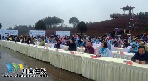 四川第七届茶叶开采活动周在纳溪开幕(图17)