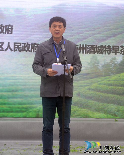 四川第七届茶叶开采活动周在纳溪开幕(图18)