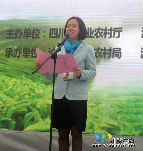 四川第七届茶叶开采活动周在纳溪开幕(图21)