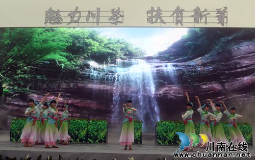 四川第七届茶叶开采活动周在纳溪开幕(图14)