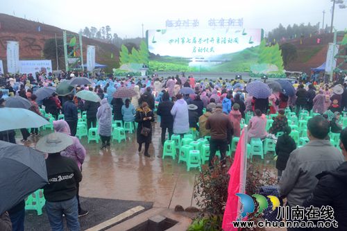 四川第七届茶叶开采活动周在纳溪开幕(图16)