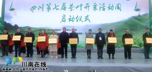 四川第七届茶叶开采活动周在纳溪开幕(图9)