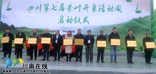 四川第七届茶叶开采活动周在纳溪开幕(图10)