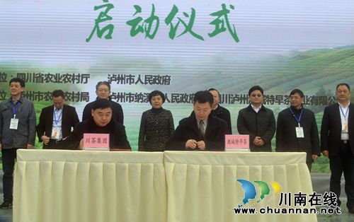 四川第七届茶叶开采活动周在纳溪开幕(图12)