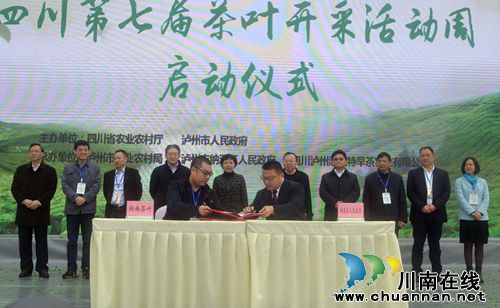 四川第七届茶叶开采活动周在纳溪开幕(图13)