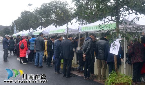 四川第七届茶叶开采活动周在纳溪开幕(图31)