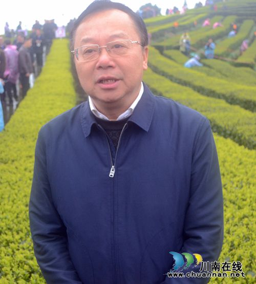 四川第七届茶叶开采活动周在纳溪开幕(图4)