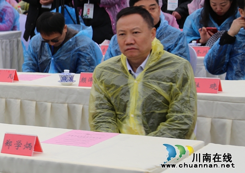 四川第七届茶叶开采活动周在纳溪开幕(图3)