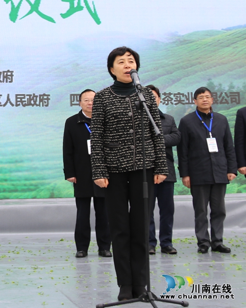 四川第七届茶叶开采活动周在纳溪开幕(图2)
