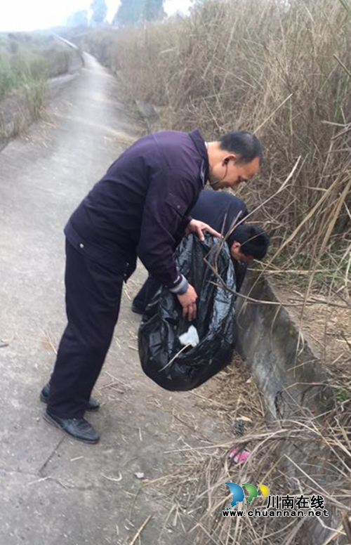 江阳区张坝街道全力做好河长制省级考核工作(图2)