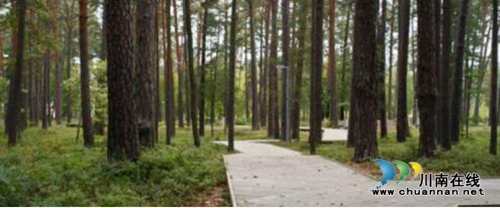 世茂·璀璨里程丨精奢宽境，悦鉴自然之美(图6)