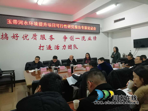 龙马潭区召开玉带河水环境提升项目可行性研究报告专家论证会(图1)