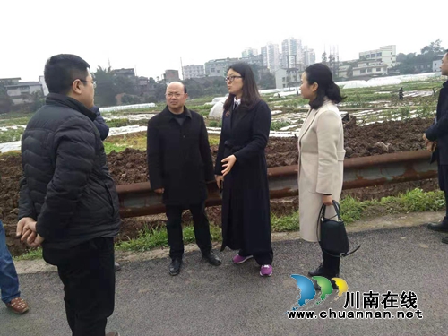 李云春率队督导龙马潭区全域污水治理工作(图1)