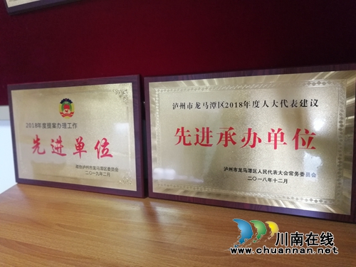 龙马潭区综合行政执法局荣获区人大、区政协议案承办双先进单位(图1) 龙马潭区综合行政执法局荣获区人大、区政协议案承办双先进单位(图1)